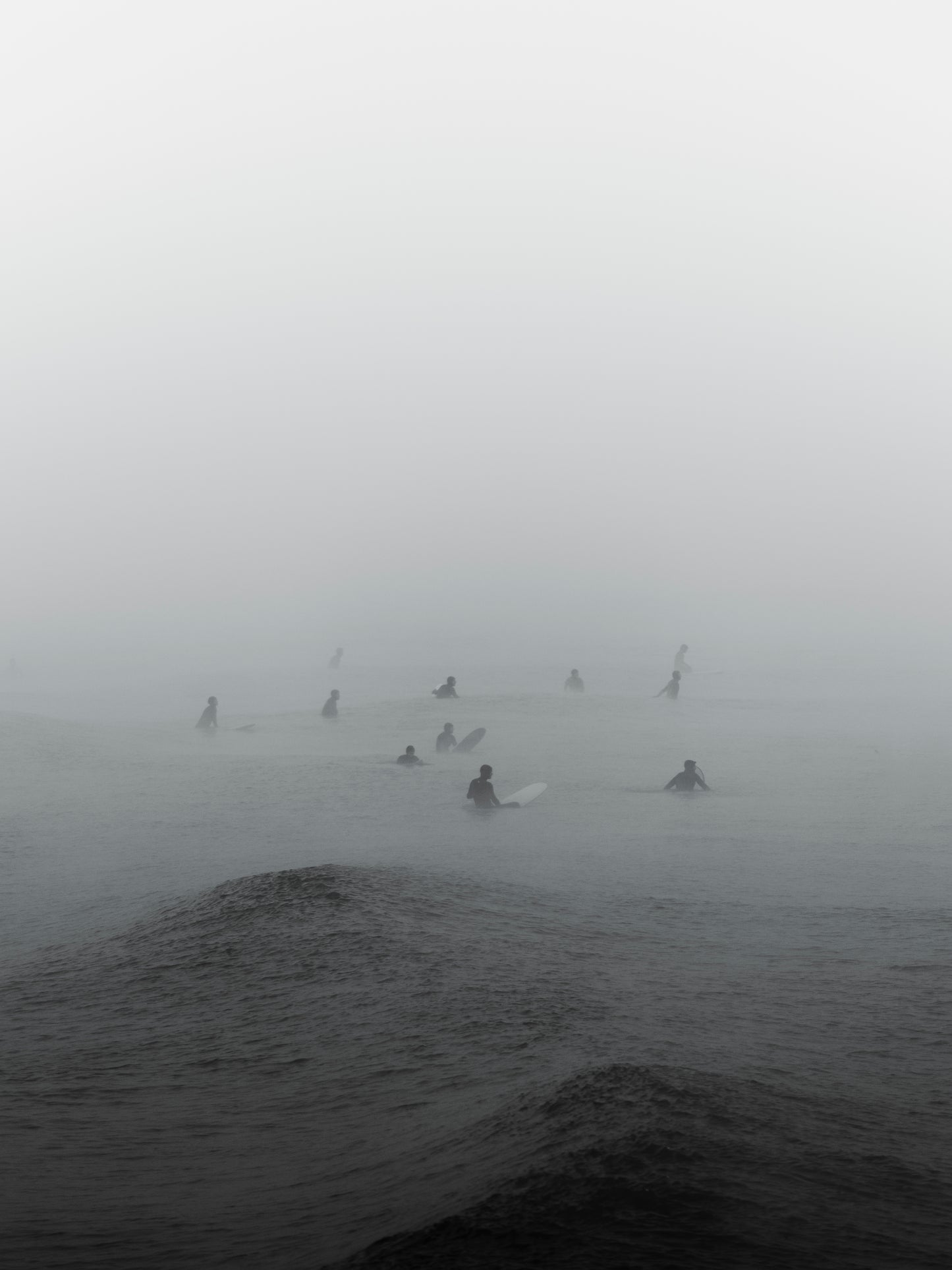 In the Mist - Black and White