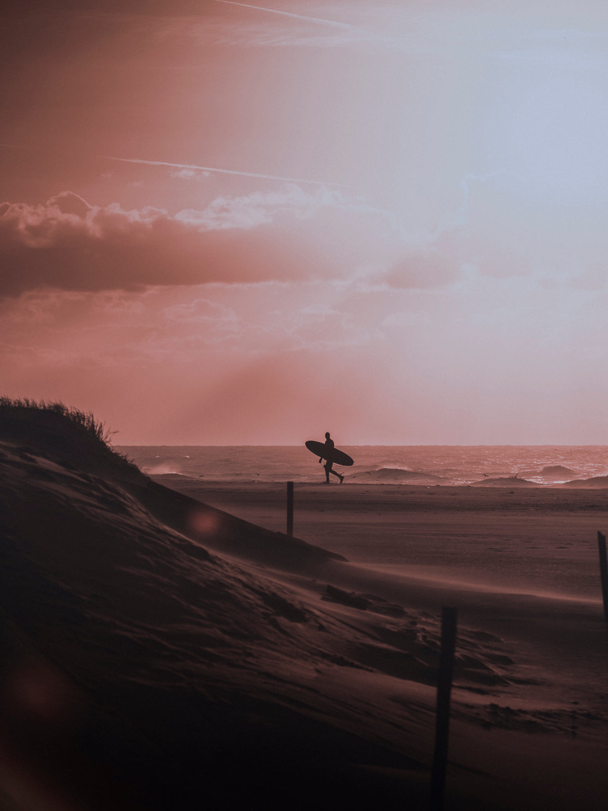 Poster | Indian Summer