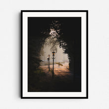 Load image into Gallery viewer, Urban surf photography shot in the Scheveningen forest during sunrise. Photo print in a black wooden frame
