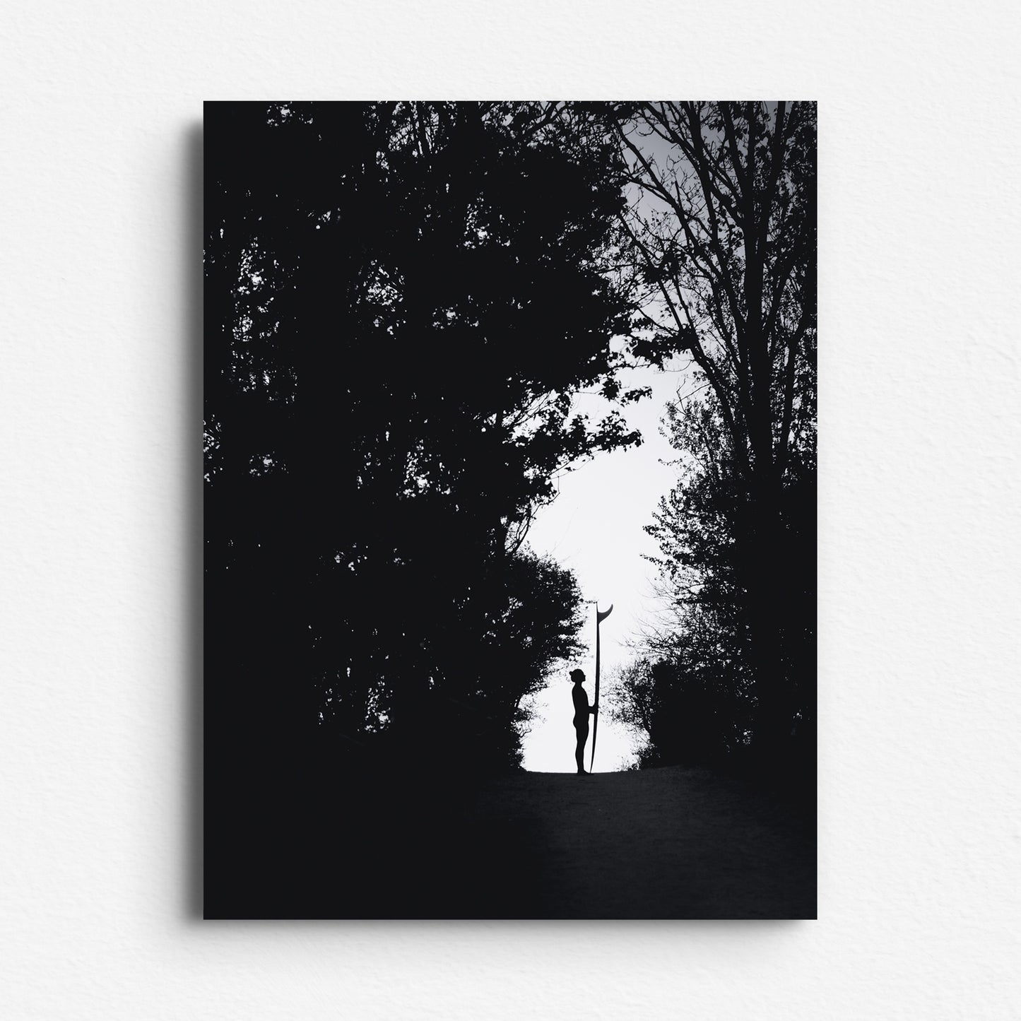 Black and white photo of a surfer silhouette standing in a forest, holding a longboard. Printed on Dibond for a sleek and modern photo poster on Aluminum Dibond.