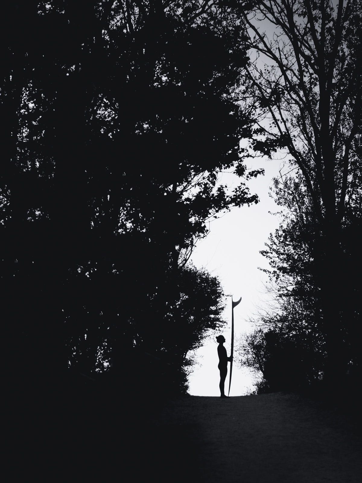 At the end of a forest path you see the silhouette of a girl holding a surfboard with the fin visible. Black and white photography printed on aluminium dibond. Surf artwork from The Hague.