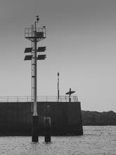 Load image into Gallery viewer, Black and white photo of a surfer silhouette gazing out to sea in Scheveningen, capturing a tranquil and iconic surf scene.
