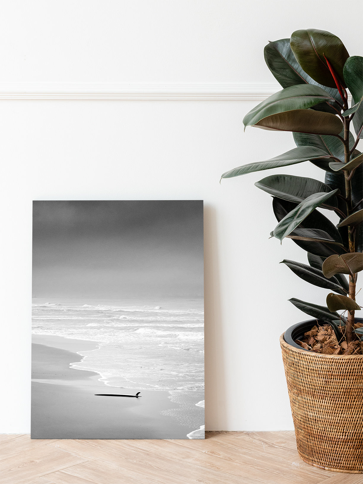 The photo 'lost' printed on an aliminium plate, leaning against a livingroom wall, next t a green plant. Serene artwork from The Hague for your home.